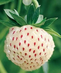 �������⼸��ˮ����Ȼһ��Ҳû�Թ���