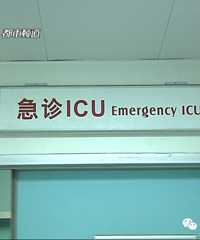 ʹ�ģ�6����ͯ��ɥС�������־�Ȼ������������