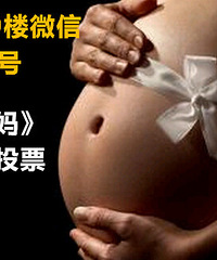 ���쿪ʼͶƱ�������н���ɹ����Ƭ���н���