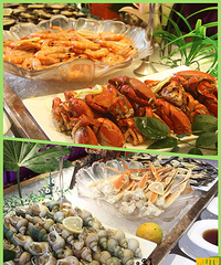 ����������������������������ʹ���