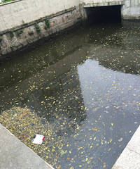 ��ʳ���Ե�ˮ�ʲ���˵�θ��