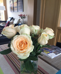 3��80�����ʣŮ��ԥ���ҽ�� �������������о���...