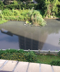 ����������Ȼ���������ġ�īˮ�ӡ�����ˮ���������ģ�