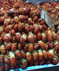 ����·�����ȥͷ��Ϻ ʮ���㽷����������ζ�����ǲ�����