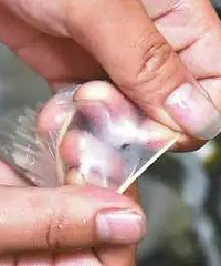 18��Ů��3���»������Σ�ԭ�����������...