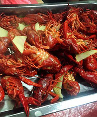 �����Ϻÿ�������೦���ǰװ׵� ���ʷ�������