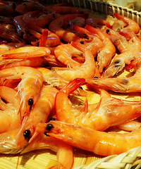 ����Ҳ����סһ�Ű��Ե��ģ�