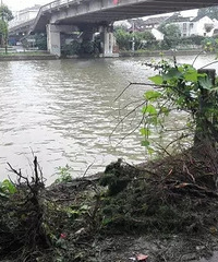 [����]ͩ��һ���γ��������� ��������˫˫����