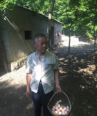 爷爷70几岁了,非要在安徽大山里养土鸡,