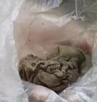 ��̥�������꺢�� ȫ������������� ����������һ�� ������.