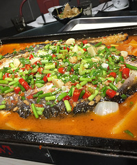 ϲ�����ҵ��ع���Ĵ����⻹�� ը����Ѽ��ζ��Ҳ��һ����