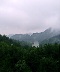 ǧ���� ����̫����  ÿ��