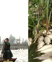 ���£�һҹ֮�� ����������һ�����ߵ�����