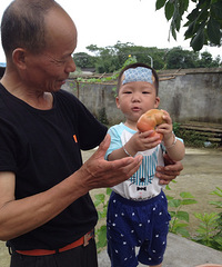 �����Բ��ľ޴���