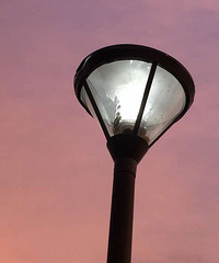 ���ߣ������̵���; ����һЩ�����桱��·�ƶ����˺��֣�