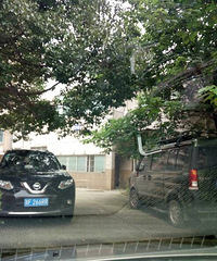 ����ͣ��Ҳ������