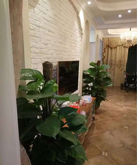 �����ݲ�㱻�����˵� �����˷ǵ�����Ǹ�������ƿڴ��