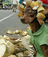 30��û�������Ѷ������Ҹ������ �޷�����