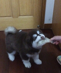 �����Ƕ�ô��Ц����