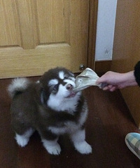 �����Ƕ�ô��Ц����