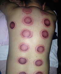 ���ĵ������