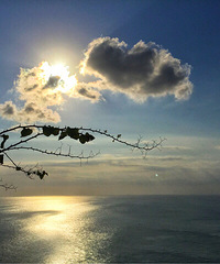 ӡ������