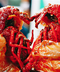 ����������һ�����ܴ�������Ϻ��պ��֭��ζ�����ޣ�