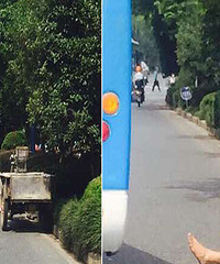 ���ɣ�����һ���������͵�ƿ���ֳ������β�  �����ɵز���