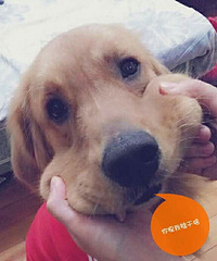 �Ҵ�ƴ6���з��г� ����Ϻ����˾���ûŮ��