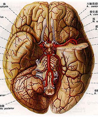 ����28w������������������� Ҫ���Ź���