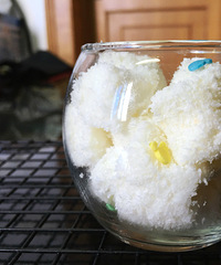 �ڼҶ��ּ򵥼��� ��������Ҭ��ţ��С����