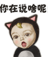 网友发声: 嘉兴房价是比上海低很多,那性价比能跟上海比吗