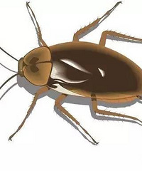 10��Ů�����ղ��˷β��ֻ�� ������Ϊ��Сǿ����