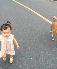 ů�ģ�������Ȯ һֱĬĬ�ػ���