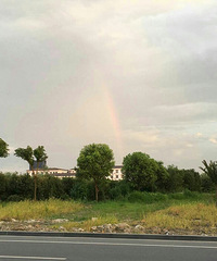 ����ɢ��