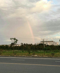 ����ɢ��