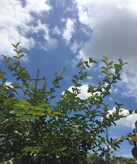 ��װ�ڶȼ�...