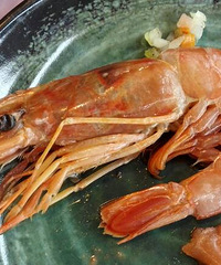 �����������Ϻ��ĺô󣡸����Ź���Ҳ��������