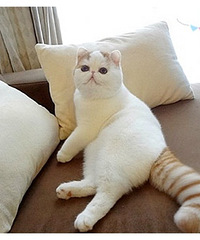 ���Ϻ�������ͬ���� ��������˵�ڼ����򷿵Ĺ���