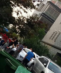 ����һС���ڷ������� ���ƺͳ���̥��ײ���ˣ�