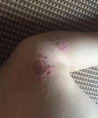 ����������ʪ�������������...