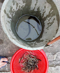 �����齱��