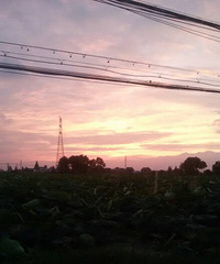 �������ϼ�ܸܵ�