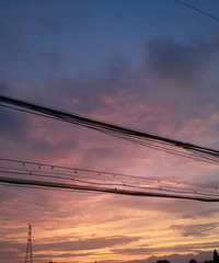 �������ϼ�ܸܵ�