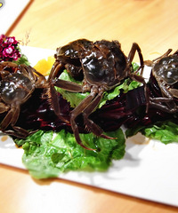 ������Ƣ������з �Ե��Ƽݶ�Ը�⣡