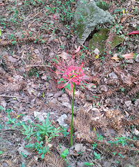 82��GG ���ܹ��� ����10w+ �����������Ĺ���