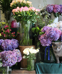 ���ϰ��Ӳ���һ��˵������ֻ���ò�����ƿ��