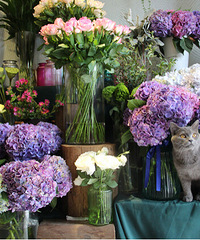 ���ϰ��Ӳ���һ��˵������ֻ���ò�����ƿ��