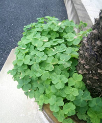 С�ݣ���˵������д��������������ǵ�����