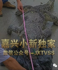 320�����߾���2.4��̩��"ɱ����" ר���ж�ҧ��������1000���